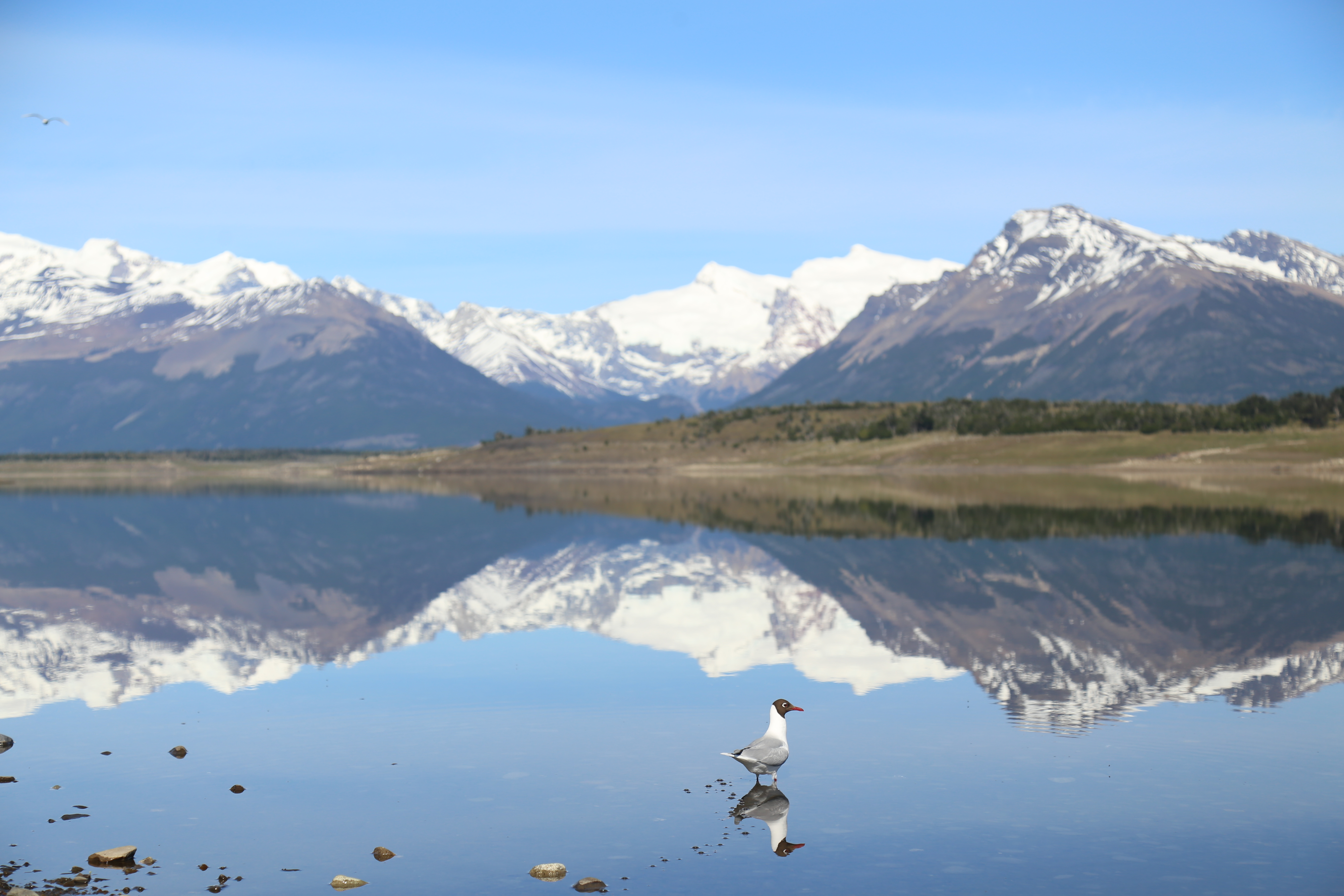 LAGUNA ESPEJO